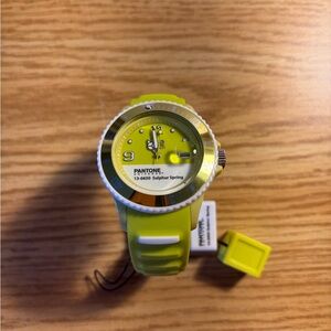 Ice Watch.  Sulphur Spring Pantone Collection.